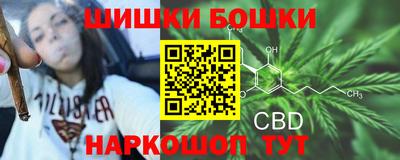 спиды Малгобек