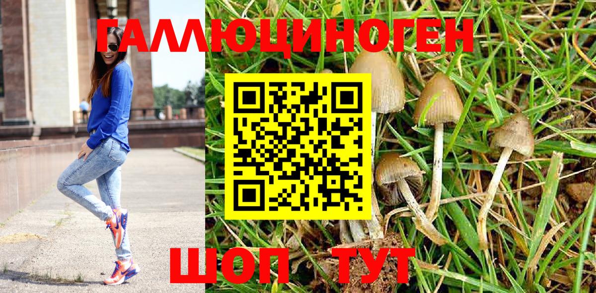 Галлюциногенные грибы Psilocybine cubensis Среднеуральск