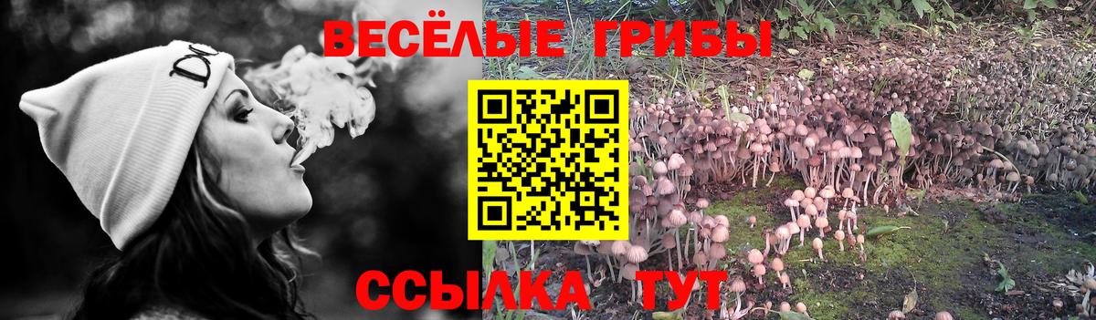 Среднеуральск  Галлюциногенные грибы MAGIC MUSHROOMS  Вход с VPN 
